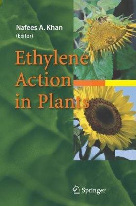 Ethylene Action In Plants 1st Edition Nafees A Khan