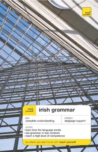 Teach Yourself Irish Grammar Ty Language Guides 1st Edition Eamonn Odonaill