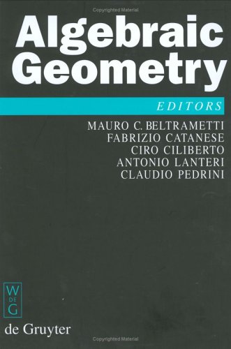 Algebraic Geometry A Volume In Memory Of Paolo Francia De Gruyter Proceedings In Mathematics Paolo Francia