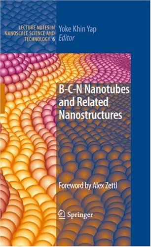 Bcn Nanotubes And Related Nanostructures 1st Edition Chee Huei Lee