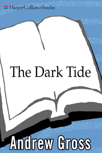 The Dark Tide Ty Hauck No 1 Andrew Gross