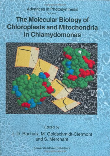 The Molecular Biology Of Chloroplasts And Mitochondria In Chlamydomonas 1st Edition Elizabeth H Harris Auth
