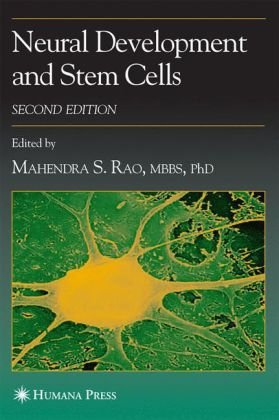 Neural Development And Stem Cells Contemporary Neuroscience Second Edition 2nd Edition Mahendra S Rao