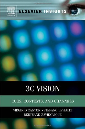 Visual Cues Contexts And Channels Perception And Communication Through Pictures 1st Edition Levialdi