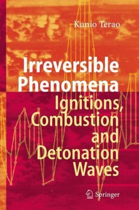 Irreversible Phenomena Ignitions Combustion And Detonation Waves 1st Edition Kunio Terao