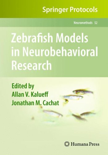 Zebrafish Models In Neurobehavioral Research 1st Edition Rowena Spence Auth