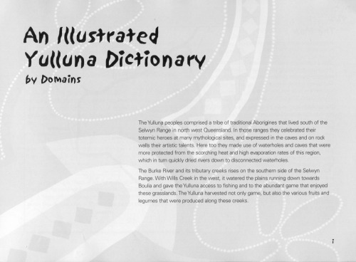 An Illustrated Dictionary Of Yulluna By Domains Yulluna Land Aboriginal Corporation