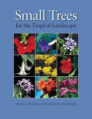 Small Trees For The Tropical Landscape 1st Edition Fred D Rauch