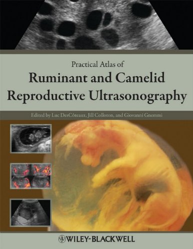 Practical Atlas Of Ruminant And Camelid Reproductive Ultrasonography 1st Edition Luc Descteaux