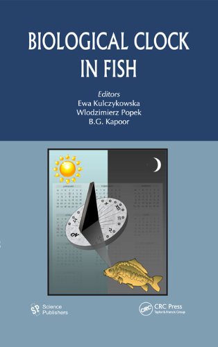 Biological Clock In Fish Ewa Kulczykowska Wlodzimierz Popek Bg Kapoor