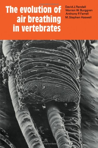 The Evolution Of Air Breathing In Vertebrates David J Randall