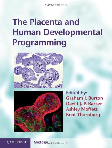 The Placenta And Human Developmental Programming 1st Edition Graham J Burton Editor