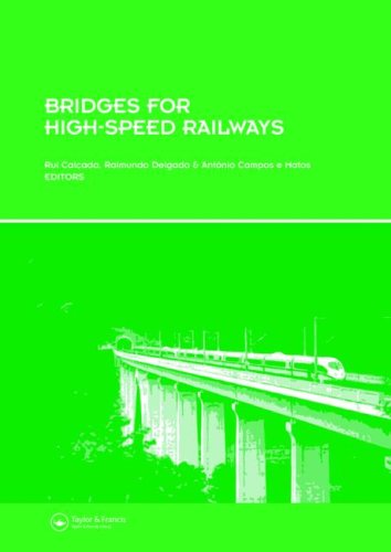 Bridges For Highspeed Railways Revised Papers From The Workshop Porto Portugal 3 4 June 2004 1st Edition Rui Calcada