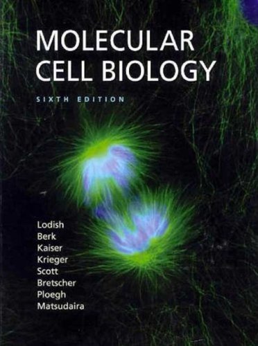 Molecular Cell Biology Lodish Sixth Edition 6th Harvey Lodish