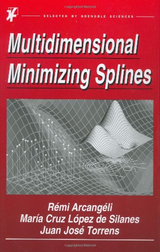 Multidimensional Minimizing Splines Theory And Applications 1st Edition Rmi Arcangli