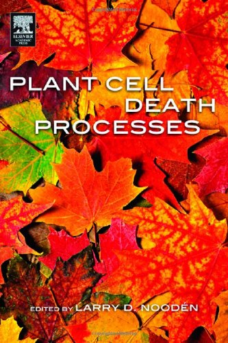 Plant Cell Death Processes 1st Edition Larry D Noodn