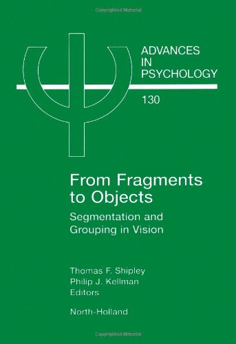 From Fragments To Objects Segmentation And Grouping In Vision 1st Thomas F Shipley And Philip J Kellman Eds