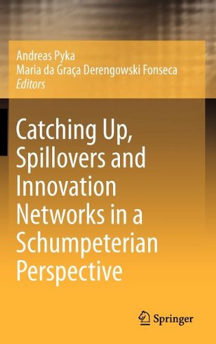 Catching Up Spillovers And Innovation Networks In A Schumpeterian Perspective 1st Edition Andreas Pyka Auth