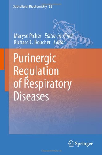 Purinergic Regulation Of Respiratory Diseases 1st Edition Eduardo R Lazarowski