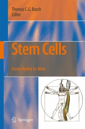 Stem Cells From Hydra To Man 1st Edition Thomas Cg Bosch