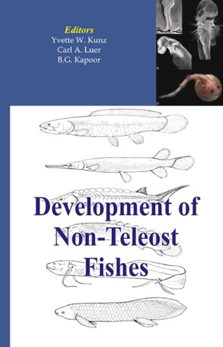 Development Of Nonteleost Fishes Yvette W Kunz Carl A Luer