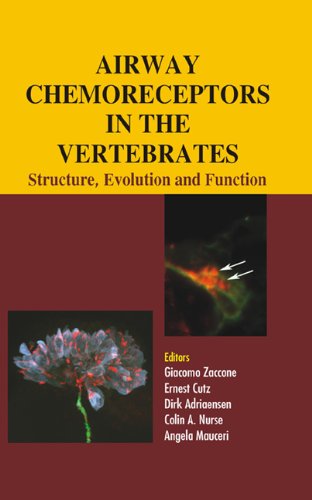 Airway Chemoreceptors In Vertebrates 1st Edition Giacomo Zaccone