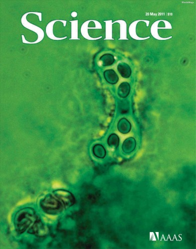 Science Magazine 20 May 2011 Aaas