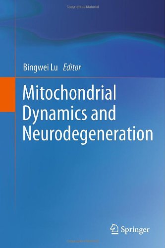 Mitochondrial Dynamics And Neurodegeneration 1st Edition Eliana Y L Chan