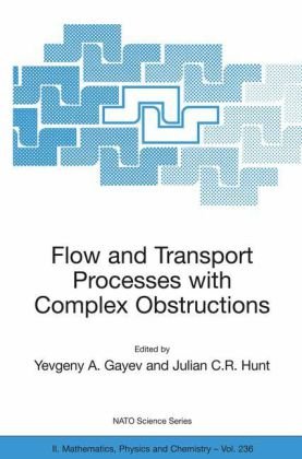Flow And Transport Processes With Complex Obstructions Applications To Cities Vegetative Canopies And Industry Nato Science Series Series Ii Mathematics Physics And Chemistry Vol 236 1st Edition Yevgeny A Gayev