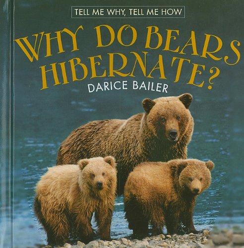 Why Do Bears Hibernate Tell Me Why Tell Me How Darice Bailer