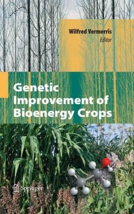 Genetic Improvement Of Bioenergy Crops 1st Edition Wilfred Vermerris Auth