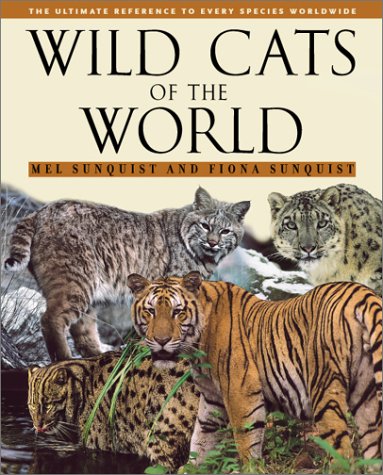 Wild Cats Of The World 1st Edition Mel Sunquist Fiona Sunquist