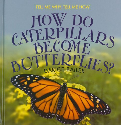 How Do Caterpillars Become Butterflies Tell Me Why Tell Me How Darice Bailer