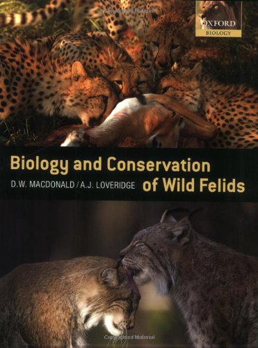 The Biology And Conservation Of Wild Felids David Macdonald Andrew Loveridge