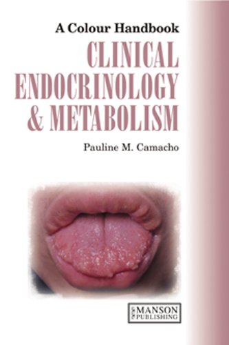 Clinical Endocrinology And Metabolism Color Handbook Series 1st Edition Pauline Camacho