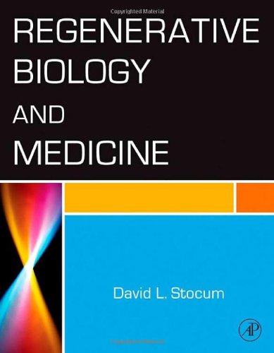 Regenerative Biology And Medicine 1st Edition David L Stocum
