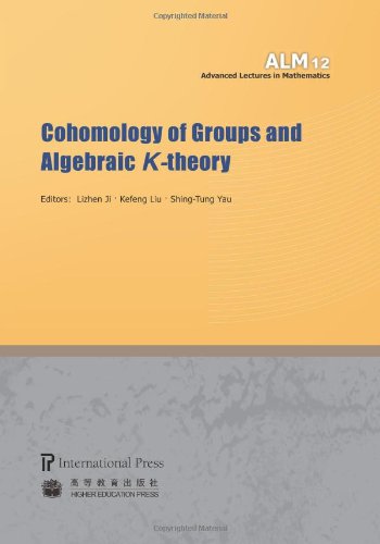 Cohomology Of Groups And Algebraic Ktheory Volume 12 Of The Advanced Lectures In Mathematics Series Lizhen Ji