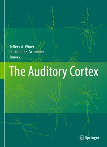 The Auditory Cortex 1st Edition Edward G Jones Auth Jeffery A Winer