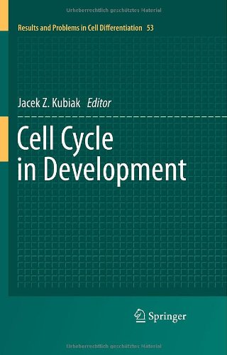 Cell Cycle In Development 1st Edition Katarzyna Adamala Pier Luigi Luisi Auth