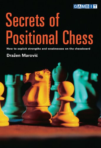 Secrets Of Positional Chess Drazen Marovic