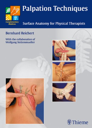 Palpation Techniques Surface Anatomy For Physical Therapists 1st Edition Bernhard Reichert