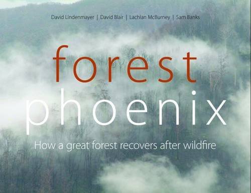 Forest Phoenix How A Great Forest Recovers After Wildfire David Lindenmayer