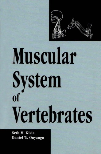 Muscular Systems Of Vertebrates Biological Systems In Vertebrates Seth M Kisia