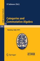 Categories And Commutative Algebra 1st Edition Lucian Bdescu Auth