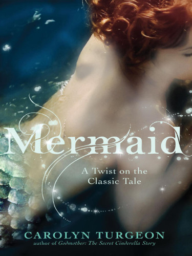 Mermaid A Twist On The Classic Tale Carolyn Turgeon