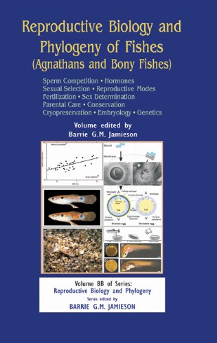 Reproductive Biology And Phylogeny Of Fishes Vol 8b Part B Sperm Competion Hormones Barrie G M Jamieson
