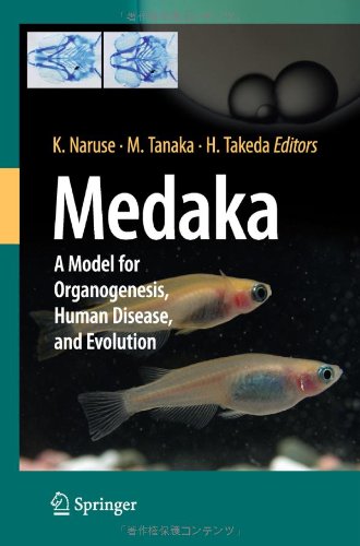 Medaka A Model For Organogenesis Human Disease And Evolution 1st Edition Hiroshi Hori Auth