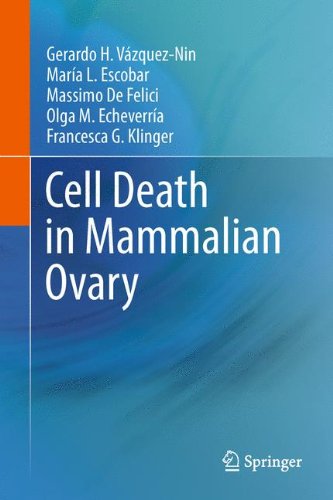 Cell Death In Mammalian Ovary 1st Edition Gerardo H Vzqueznin