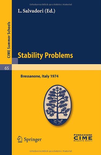 Stability Problems 1st Edition P Habets Auth Prof L Salvadori Eds