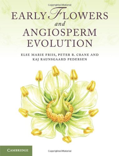 Early Flowers And Angiosperm Evolution Else Marie Friis Peter R Crane
